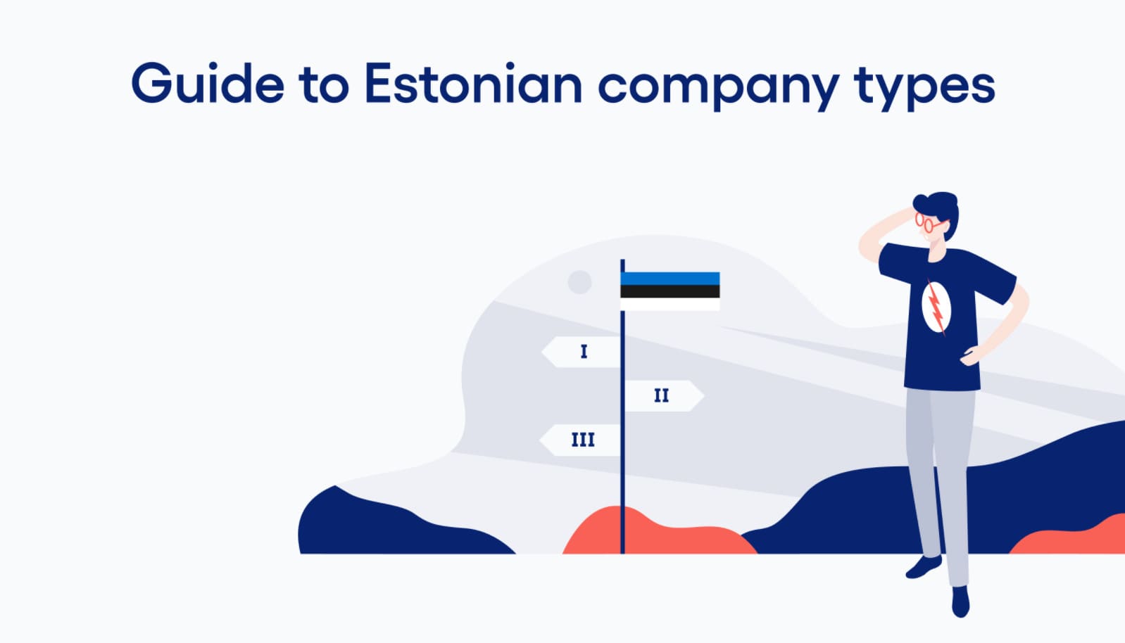 E-residency - гайд по выбору эстонской компании